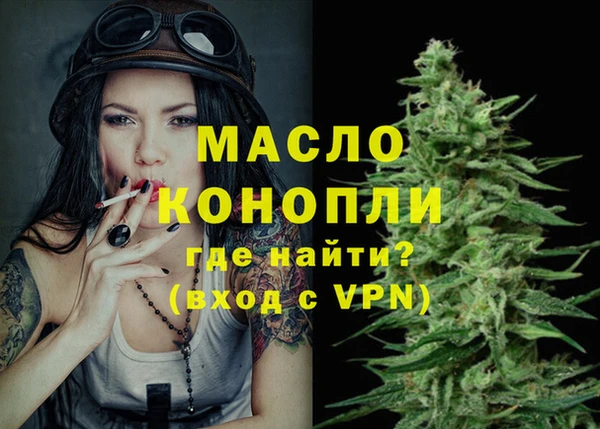индика Заводоуковск