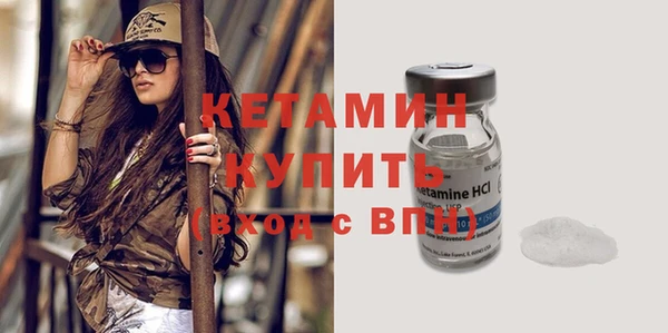 индика Заводоуковск