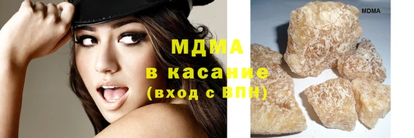 индика Заводоуковск