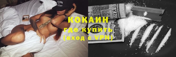 индика Заводоуковск