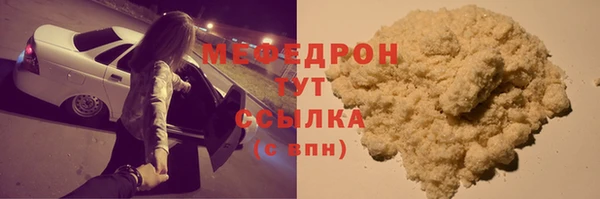индика Заводоуковск
