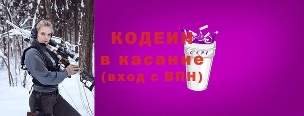 индика Заводоуковск