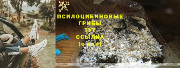 индика Заводоуковск