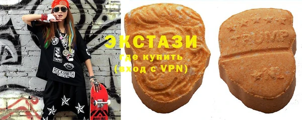 индика Заводоуковск