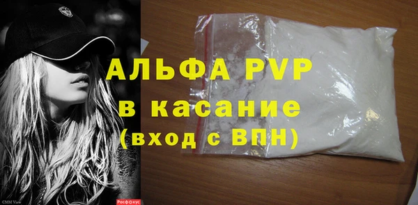 индика Заводоуковск