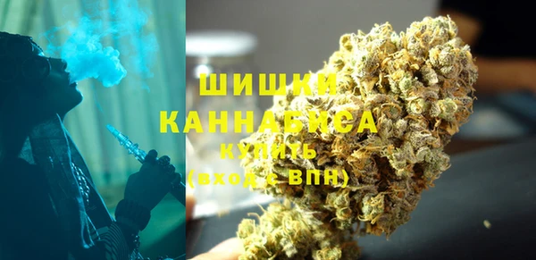 индика Заводоуковск