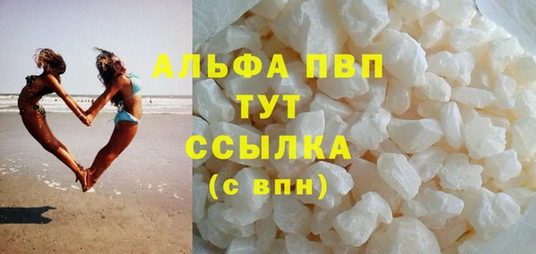 индика Заводоуковск