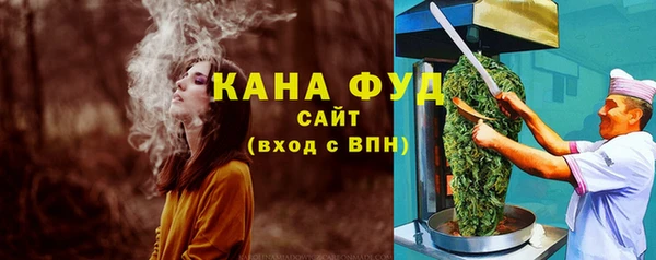 индика Заводоуковск