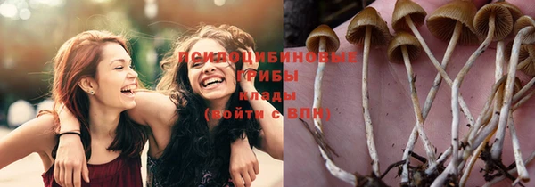 ГАЛЛЮЦИНОГЕННЫЕ ГРИБЫ Наволоки